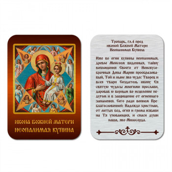 IKO-001-024 Икона БМ Неопалимая Купина